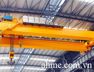 Double girder cranes